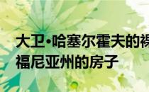 大卫·哈塞尔霍夫的裸胸列出了在芬兰和加利福尼亚州的房子
