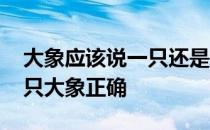 大象应该说一只还是说一头 一头大象还是一只大象正确 