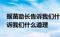 揠苗助长告诉我们什么道理图片 揠苗助长告诉我们什么道理 