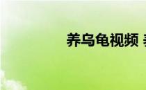 养乌龟视频 养乌龟 好吗 
