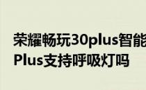 荣耀畅玩30plus智能辅助在哪里 荣耀畅玩30Plus支持呼吸灯吗 