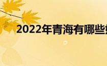 2022年青海有哪些好的单招学校排名？