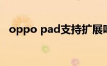 oppo pad支持扩展吗 oppoPad有双扬声吗 