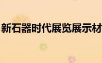 新石器时代展览展示材料在创新建筑中的潜力