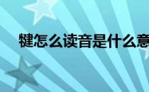 犍怎么读音是什么意思是什么 犍怎么读 
