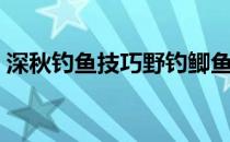 深秋钓鱼技巧野钓鲫鱼饵料（深秋钓鱼技巧）