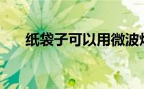 纸袋子可以用微波炉加热吗（纸袋子）
