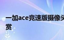 一加ace竞速版摄像头型号 一加Ace竞速版图赏 