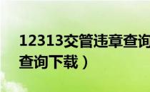 12313交管违章查询准吗（12313交管违章查询下载）