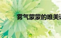 雾气蒙蒙的唯美诗句（雾气蒙蒙）