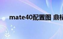 mate40配置图 鼎桥Mate40参数配置 