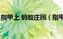 指甲上 蚂蚁庄园（指甲周围长倒刺蚂蚁庄园）