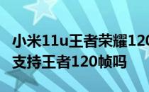 小米11u王者荣耀120帧 一加10Pro这款手机支持王者120帧吗 