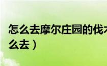 怎么去摩尔庄园的伐木林（摩尔庄园伐木林怎么去）