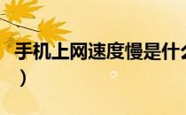手机上网速度慢是什么原因（手机上网速度慢）