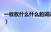一枚枚什么什么的词语（一枚枚什么填空词语）