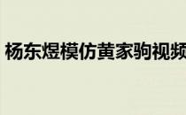 杨东煜模仿黄家驹视频（杨东煜模仿黄家驹）