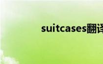 suitcases翻译（suitcase）