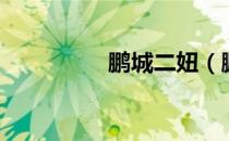 鹏城二妞（鹏城团购网）