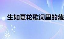 生如夏花歌词里的藏语（生如夏花 歌词）