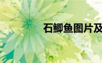 石鲫鱼图片及价格（石鲫）