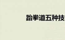 跆拳道五种技术风格的分类