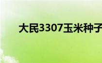 大民3307玉米种子介绍（大民3307）