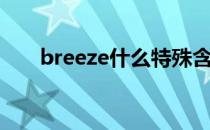 breeze什么特殊含义（breeze论坛）