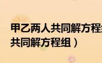 甲乙两人共同解方程组ax+by=5（甲乙两人共同解方程组）