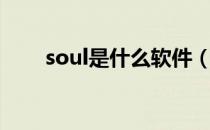 soul是什么软件（soul是什么软件）