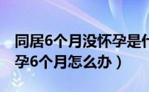 同居6个月没怀孕是什么原因（和妈妈同居怀孕6个月怎么办）