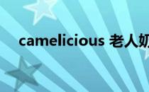 camelicious 老人奶粉（camelicious）