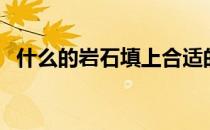 什么的岩石填上合适的词语（什么的岩石）