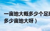 一亩地大概多少个足球场（请问一个足球场有多少亩地大呀）
