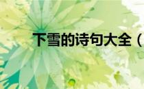下雪的诗句大全（下雪的诗句唯美）
