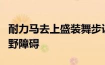 耐力马去上盛装舞步课盛装舞步马需要跨越越野障碍