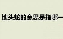 地头蛇的意思是指哪一类人（地头蛇的意思）