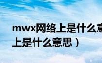 mwx网络上是什么意思求解答（MWX网络上是什么意思）