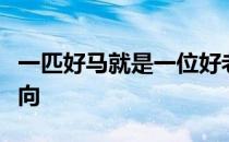 一匹好马就是一位好老师它会引导我们辨明方向