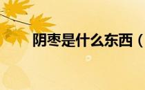 阴枣是什么东西（阴枣是什么东西）