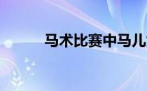 马术比赛中马儿为什么要戴耳罩