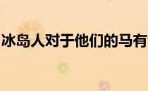 冰岛人对于他们的马有种偏执到骨子里的情感