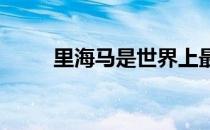 里海马是世界上最古老的马种之一