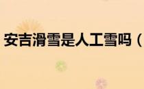 安吉滑雪是人工雪吗（安吉滑雪是人造雪吗）