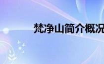 梵净山简介概况（梵净山简介）