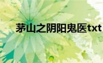 茅山之阴阳鬼医txt（茅山之阴阳鬼医）