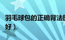 羽毛球包的正确背法图（羽毛球包男的选哪款好）