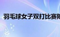 羽毛球女子双打比赛陈清晨贾一凡获得银牌