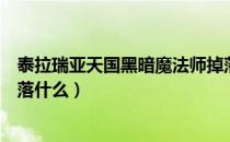 泰拉瑞亚天国黑暗魔法师掉落什么（泰拉瑞亚黑暗魔法师掉落什么）