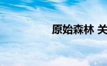 原始森林 关于原始森林